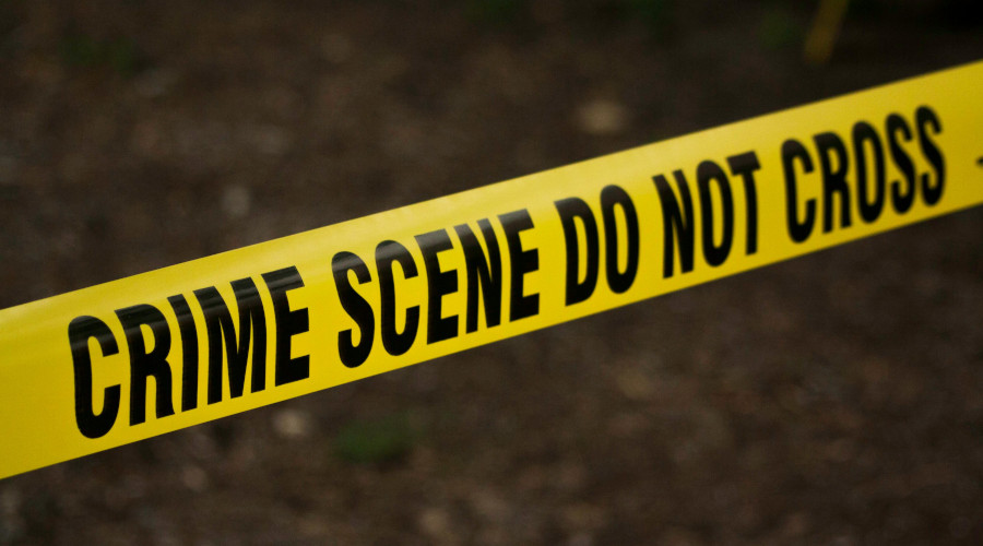 section 8 of the criminal code edmonton canada